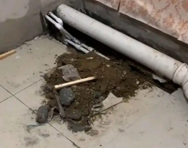 莫力达卫生间漏水检测哪家好