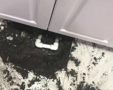 莫力达查漏水哪家好
