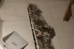 莫力达卫生间漏水检测电话