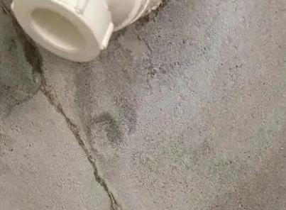 莫力达卫生间漏水检测哪家好